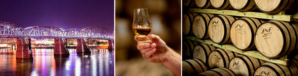 NewRiff Purple People Bridge copy